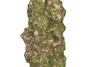 Realistic Mountain Cliff 07 Model 3D