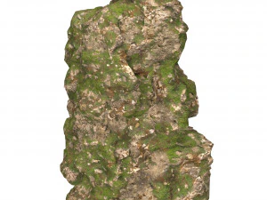 Realistic Mountain Cliff 07 3D Model