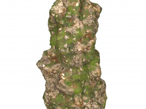 Realistic Mountain Cliff 08 3D Model