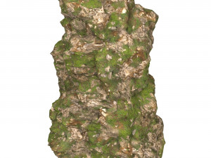 Realistic Mountain Cliff 09 3D 模型