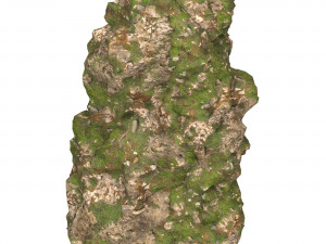 Realistic Mountain Cliff 09 3D 模型