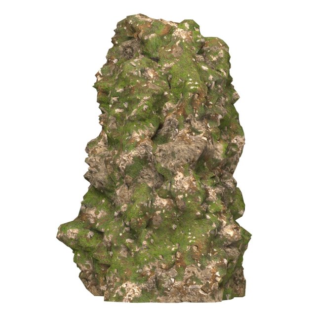 Realistic Mountain Cliff 10 Modèle 3D .c4d .max .obj .3ds .fbx .stl .blend 