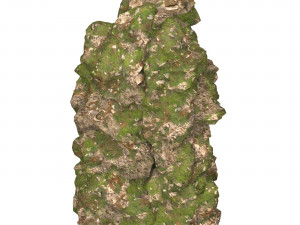 Realistic Mountain Cliff 10 Modèle 3D