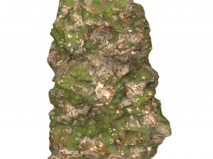 Realistic Mountain Cliff 10 Modèle 3D