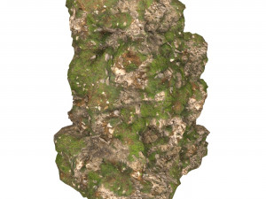 Realistic Mountain Cliff 12 Model 3D