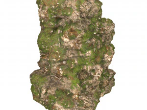 Realistic Mountain Cliff 12 3D Model