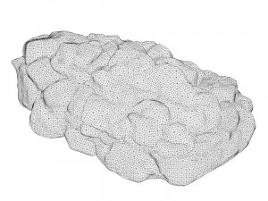Moss Stone Rock 01 3D Model