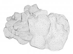 Moss Stone Rock 03 Modèle 3D