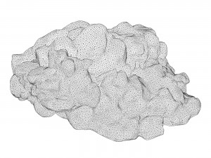 Moss Stone Rock 04 3D Model