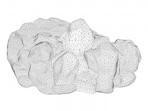 Moss Stone Rock 06 3D Model