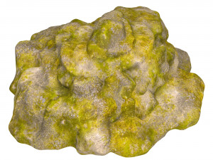 Moss Stone Rock 07 Modelo 3D