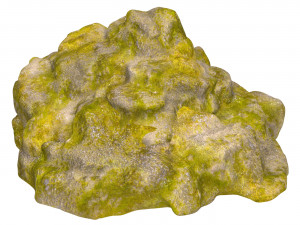 Moss Stone Rock 07 3D Модель
