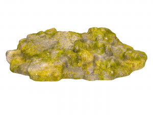 Moss Stone Rock 09 Modèle 3D
