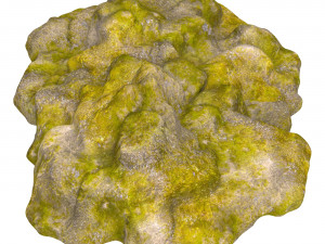 Moss Stone Rock 09 3D 模型