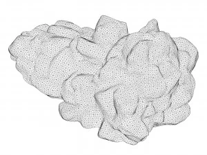 Moss Stone Rock 10 3D Model