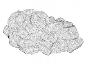 Moss Stone Rock 11 3D Model