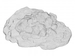 Moss Stone Rock 12 3D Model