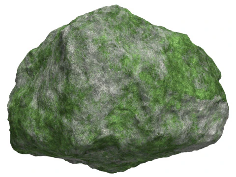 Yosunlu Kaya 08 3D Model