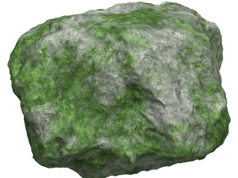 Yosunlu Kaya 08 3D Model