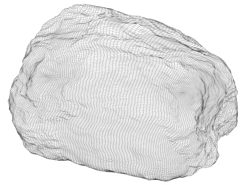 Yosunlu Kaya 08 3D Model