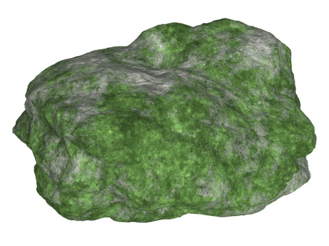 Mossy Rock 11 3D Model