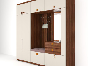 wardrobe in the hallway Modelo 3D