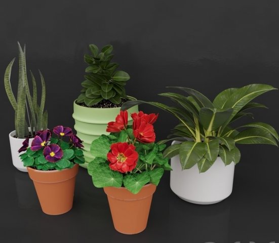colorful flower 3D 모델 .c4d .max .obj .3ds .fbx .stl .blend 