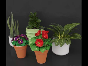 flor colorida Modelo 3D