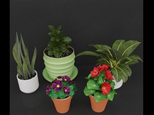 colorful flower 3D 모델