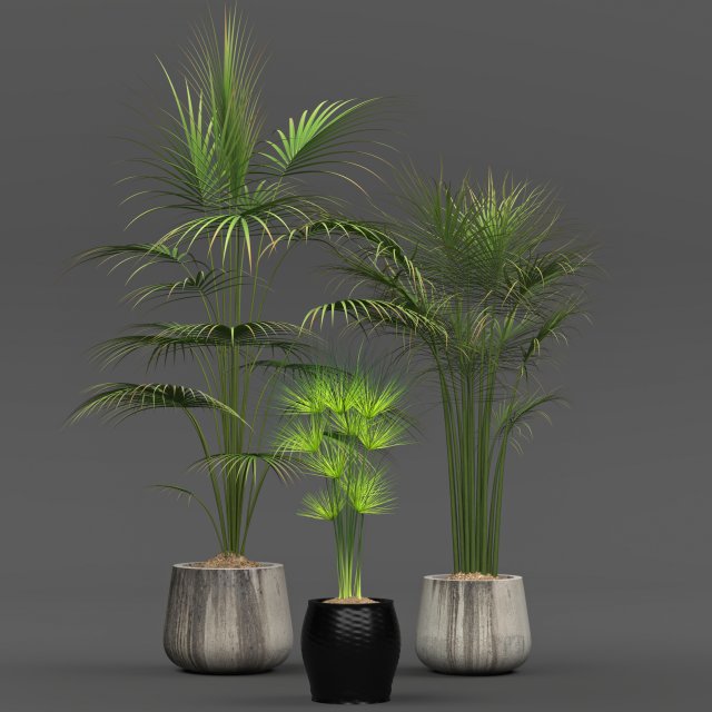collection of plants Modelo 3D .c4d .max .obj .3ds .fbx .stl .blend 
