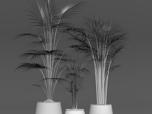collection of plants Modelo 3D