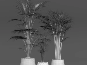 cole&ccedil;&atilde;o de plantas Modelo 3D