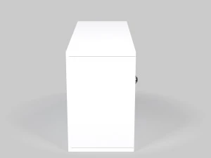 Wall Shelf with Door 3D Model