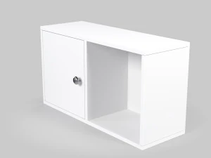 Wall Shelf with Door 3D Model
