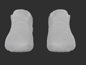 Reebok Crossfit Shoes Modèle 3D