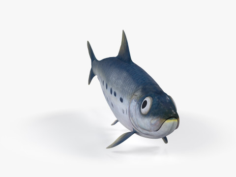 Sardine Fish 3D Model