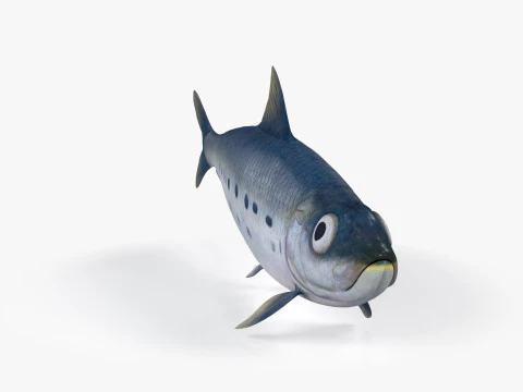 Sardine Fish 3D Model
