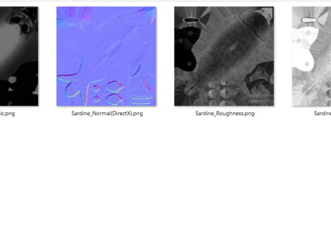 Sardine Fish 3D Model