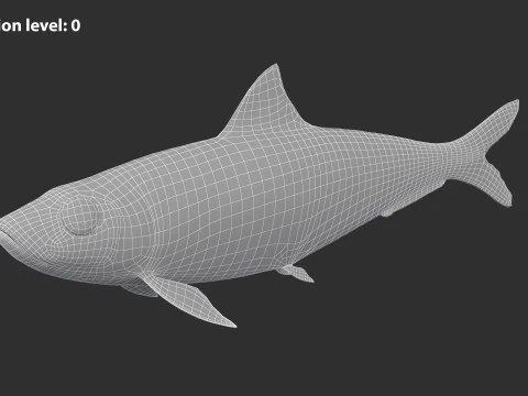Sardine Fish 3D Model