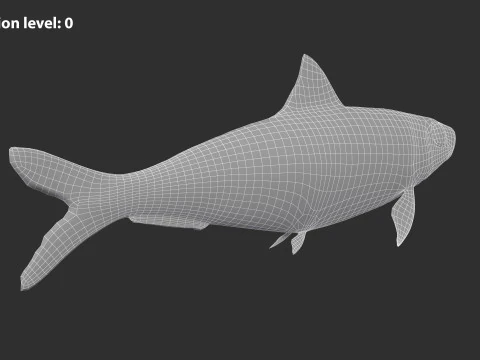 Sardine Fish 3D Model