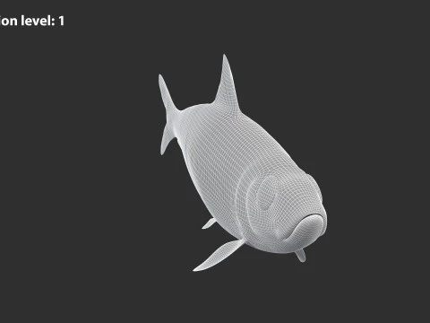 Sardine Fish 3D Model