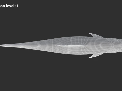 Sardine Fish 3D Model