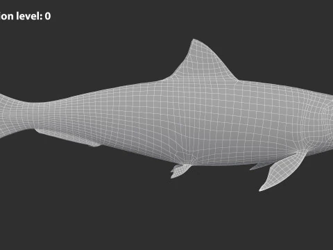 Sardine Fish 3D Model