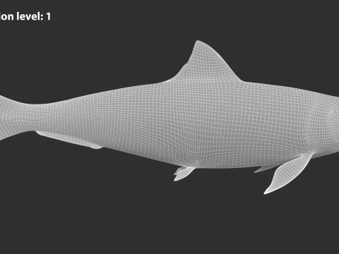 Sardine Fish 3D Model