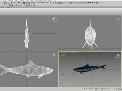 Sardine Fish 3D Model