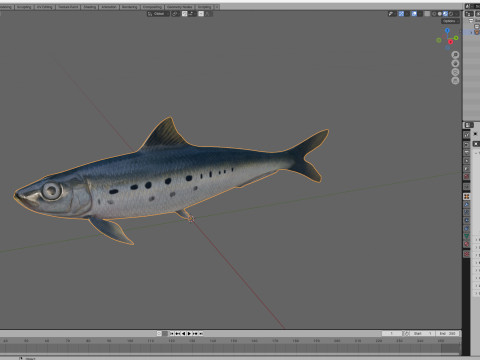Sardine Fish 3D Model