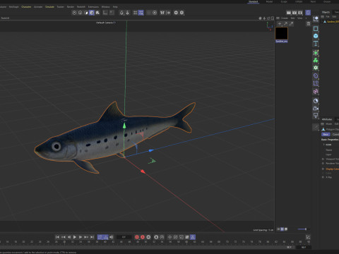 Sardine Fish 3D Model
