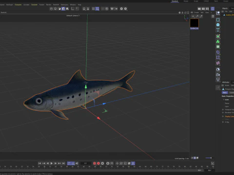 Sardine Fish 3D Model