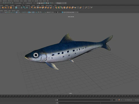 Sardine Fish 3D Model