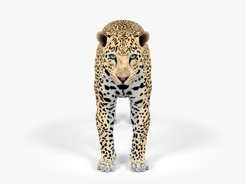 Leopard Modèle 3D